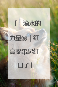 一滴水的力量⑨｜红高粱串起红日子