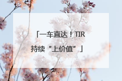 一车直达！TIR持续“上价值”