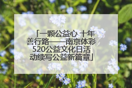 一颗公益心 十年善行路——南京体彩520公益文化日活动续写公益新篇章