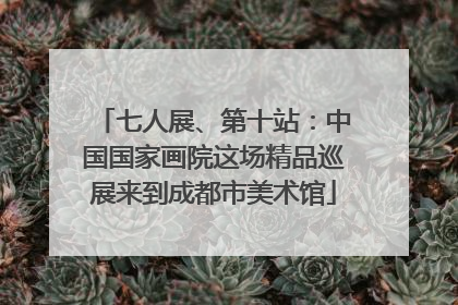 七人展、第十站：中国国家画院这场精品巡展来到成都市美术馆