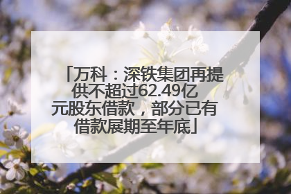 万科：深铁集团再提供不超过62.49亿元股东借款，部分已有借款展期至年底