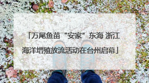 万尾鱼苗“安家”东海 浙江海洋增殖放流活动在台州启幕