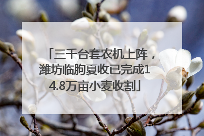 三千台套农机上阵，潍坊临朐夏收已完成14.8万亩小麦收割