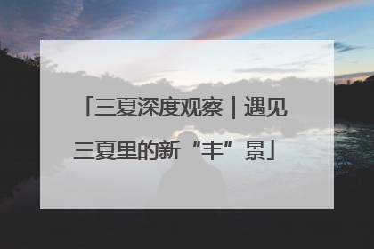 三夏深度观察｜遇见三夏里的新“丰”景
