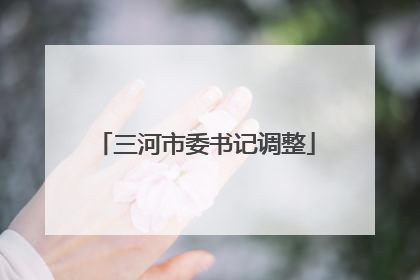 三河市委书记调整
