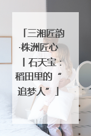 三湘匠韵·株洲匠心丨石天宝：稻田里的“追梦人”