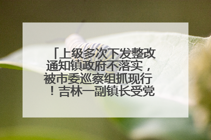 上级多次下发整改通知镇政府不落实，被市委巡察组抓现行！吉林一副镇长受党内警告处分