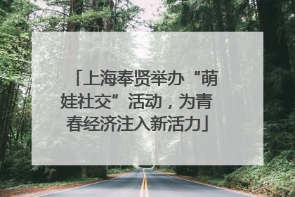 上海奉贤举办“萌娃社交”活动，为青春经济注入新活力