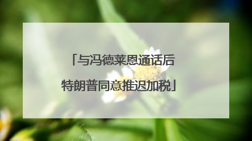 与冯德莱恩通话后 特朗普同意推迟加税