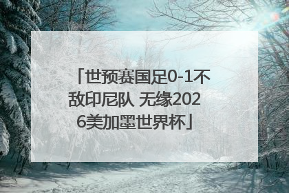 世预赛国足0-1不敌印尼队 无缘2026美加墨世界杯