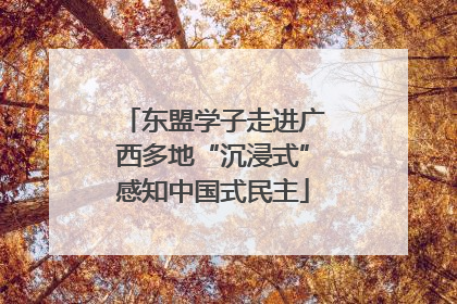 东盟学子走进广西多地“沉浸式”感知中国式民主