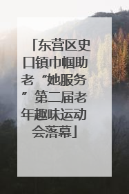 东营区史口镇巾帼助老“她服务”第二届老年趣味运动会落幕