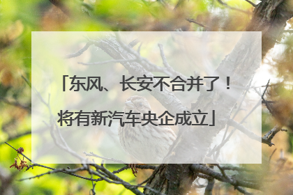 东风、长安不合并了！将有新汽车央企成立