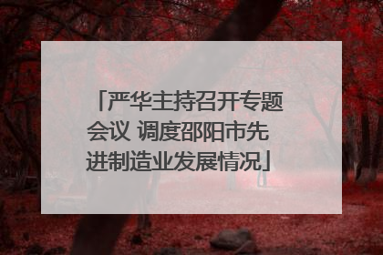 严华主持召开专题会议 调度邵阳市先进制造业发展情况
