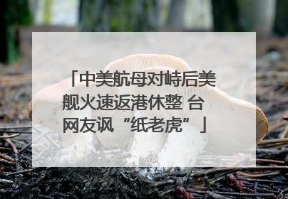 中美航母对峙后美舰火速返港休整 台网友讽“纸老虎”