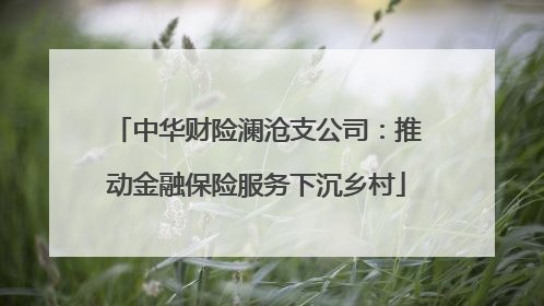 中华财险澜沧支公司：推动金融保险服务下沉乡村