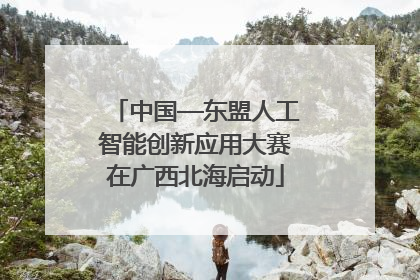 中国—东盟人工智能创新应用大赛在广西北海启动