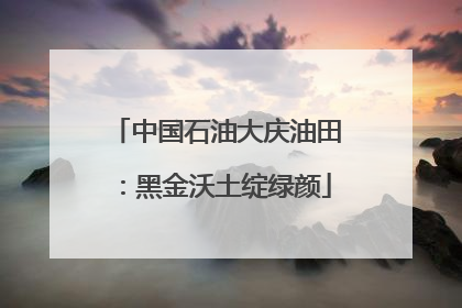 中国石油大庆油田：黑金沃土绽绿颜