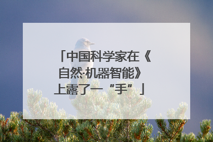 中国科学家在《自然·机器智能》上露了一“手”