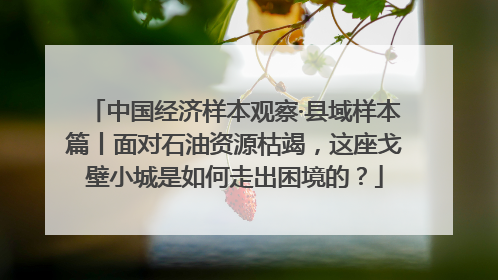 中国经济样本观察·县域样本篇丨面对石油资源枯竭，这座戈壁小城是如何走出困境的？