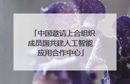 中国邀请上合组织成员国共建人工智能应用合作中心