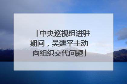 中央巡视组进驻期间，吴建平主动向组织交代问题