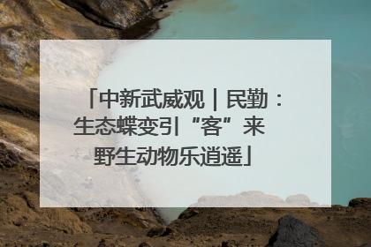 中新武威观｜民勤：生态蝶变引“客”来 野生动物乐逍遥