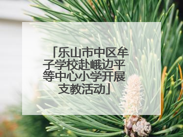乐山市中区牟子学校赴峨边平等中心小学开展支教活动