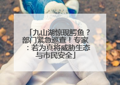 九山湖惊现鳄鱼？部门紧急巡查！专家：若为真将威胁生态与市民安全