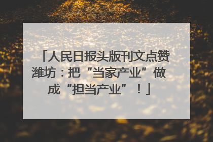 人民日报头版刊文点赞潍坊：把“当家产业”做成“担当产业”！