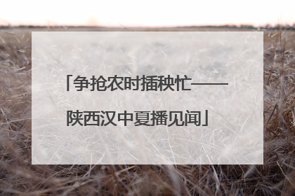 争抢农时插秧忙——陕西汉中夏播见闻