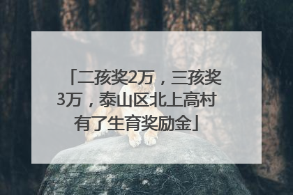 二孩奖2万，三孩奖3万，泰山区北上高村有了生育奖励金
