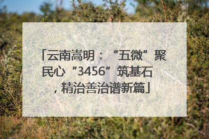 云南嵩明：“五微”聚民心“3456”筑基石，精治善治谱新篇