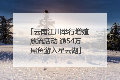 云南江川举行增殖放流活动 逾54万尾鱼游入星云湖