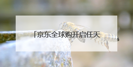 京东全球购开启任天堂官方货源Switch2预售：全球同价 6月5日首批发货