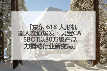 京东 618 人形机器人赛道爆发：灵宝CASBOT以30万级产品力搅动行业新变局