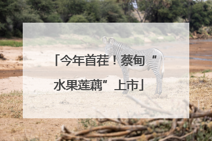 今年首茬！蔡甸“水果莲藕”上市