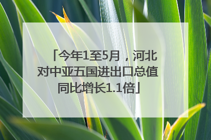 今年1至5月，河北对中亚五国进出口总值同比增长1.1倍
