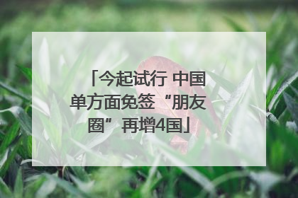今起试行 中国单方面免签“朋友圈”再增4国