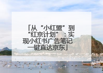 从“小红盟”到“红京计划”：实现小红书广告笔记一键直达京东