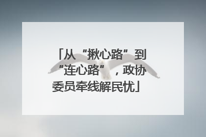 从“揪心路”到“连心路”，政协委员牵线解民忧