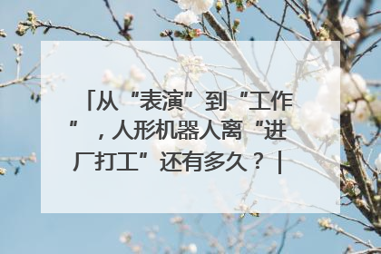 从“表演”到“工作”，人形机器人离“进厂打工”还有多久？｜机器人商业新纪元