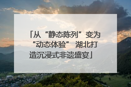 从“静态陈列”变为“动态体验” 湖北打造沉浸式非遗盛宴