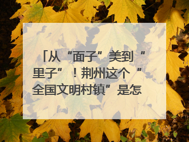 从“面子”美到“里子”！荆州这个“全国文明村镇”是怎样炼成的？