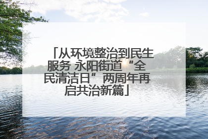 从环境整治到民生服务 永阳街道“全民清洁日”两周年再启共治新篇