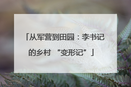从军营到田园：李书记的乡村 “变形记”