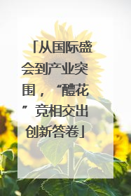从国际盛会到产业突围，“醴花”竞相交出创新答卷
