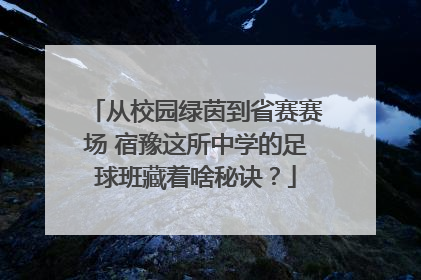从校园绿茵到省赛赛场 宿豫这所中学的足球班藏着啥秘诀？