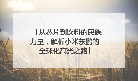 从芯片到饮料的民族力量，解析小米东鹏的全球化高光之路