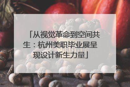 从视觉革命到空间共生：杭州美职毕业展呈现设计新生力量